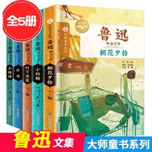 鲁迅经典作品全集经典选集朝花夕拾散文集灯下漫笔社戏鲁迅杂文集