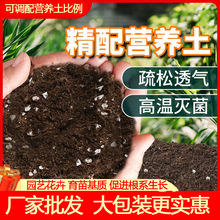 营养土养花通用专用兰花蝴蝶兰泥炭土土壤种植土花土通用型发酵