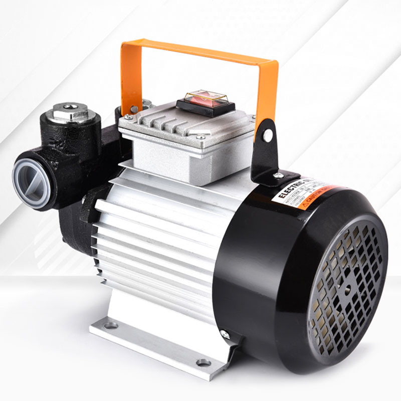 电动抽油泵220v大功率自吸泵柴油泵遥控加油泵抽油机计量泵