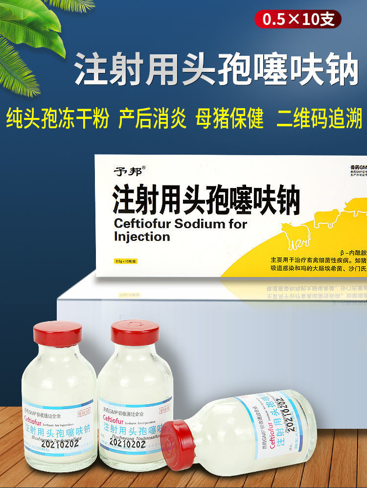 兽用头孢噻呋钠注射用粉针兽用猪牛羊产后孕畜可用供应现货