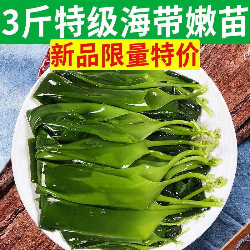 霞浦海带苗嫩特级嫩苗非裙带菜特级正宗一级批发煮煲汤火锅批发