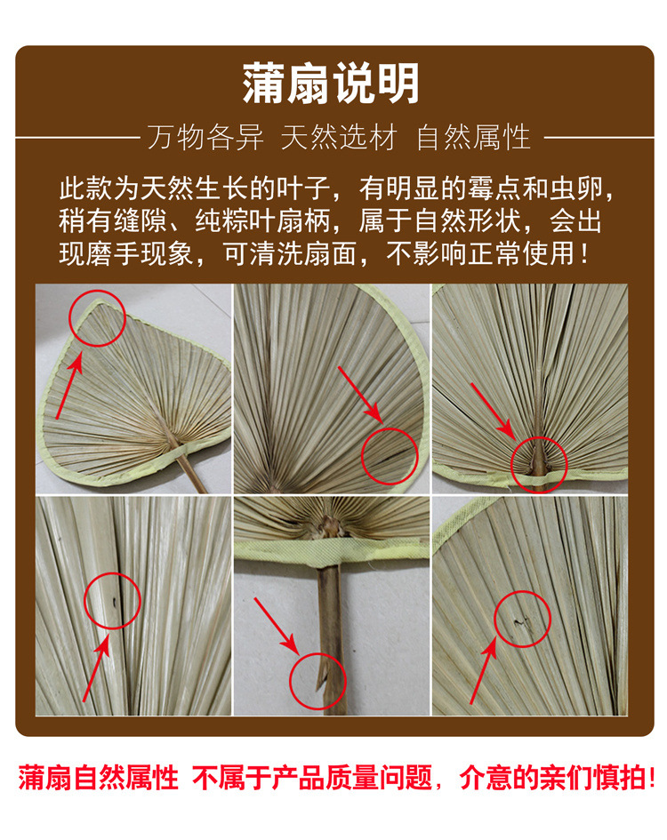 大蒲扇扇子夏天子老式耐用芭蕉扇扇子家用老人老式蒲草扇济公扇热
