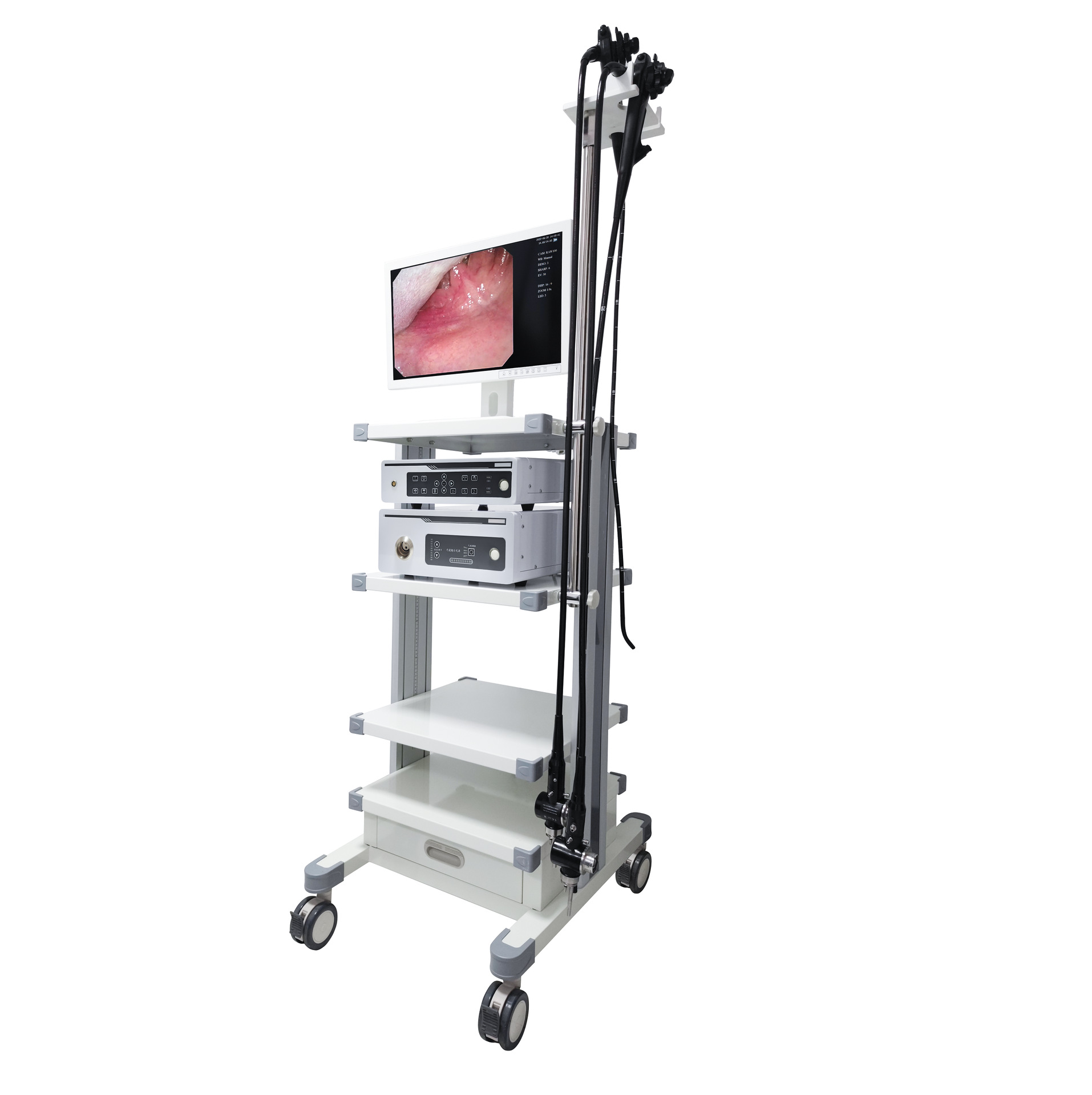 emv系列 电子胃镜和结肠镜内窥镜摄像系统兽医用