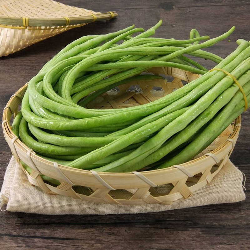 中研盛优三尺绿豆角种子 厂家直销中早熟淡绿色肉质厚豆角籽