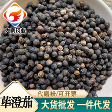 中药材批发山苍子 荜澄茄 澄茄子 毗陵茄子 山鸡椒 毕茄 大量现货