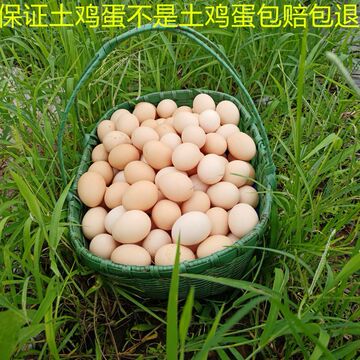 皖南土鸡蛋农家散养新鲜土鸡蛋 林下现捡现发月子蛋 一件代发包邮
