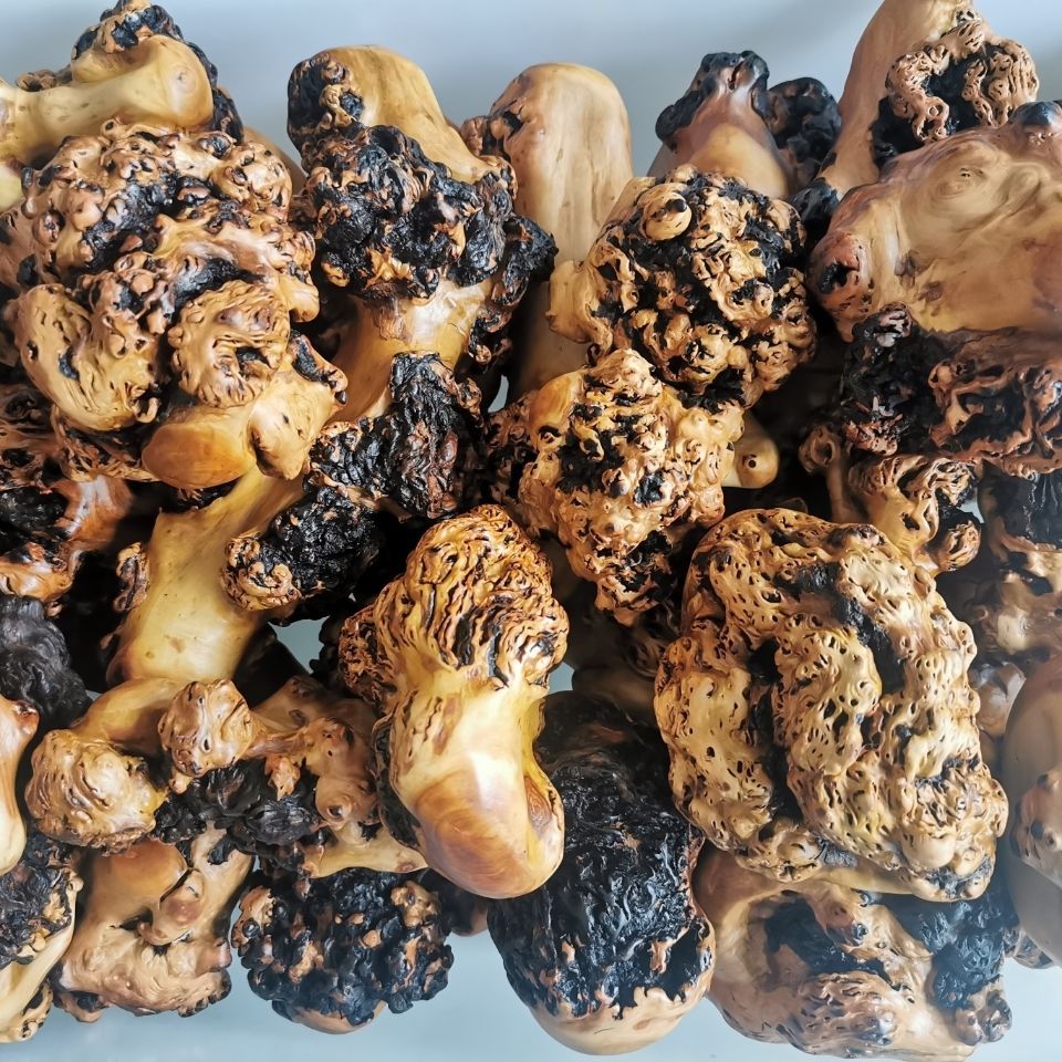 黑果木手把件把玩盘玩小物件天然树瘤