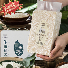 新疆羊脂籽米胚芽米超过有机大米5kg粳米2022年新米10斤装