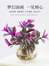 水培植物油画婚礼吊兰盆栽室内办公室桌面绿植花卉紫露兰四季好养