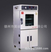 真空烘箱DZ-3BE 功能型真空干燥箱 真空恒温箱 工业烤箱 天津泰斯