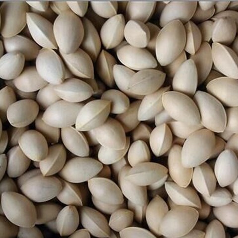 半斤 一斤包邮新银杏种子 白果树种子 银杏树种子买三斤送一斤