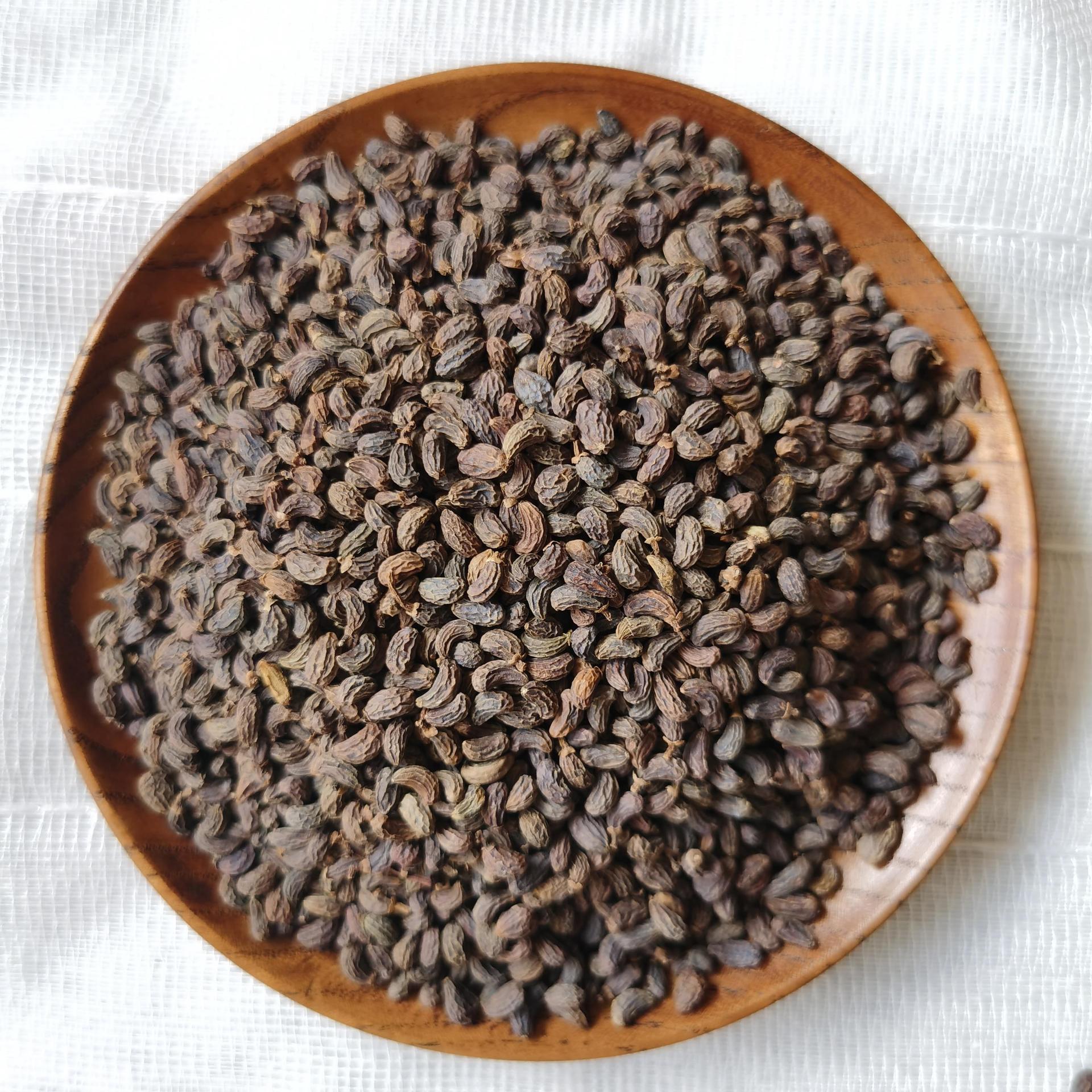 女贞子药中药材500g正品冬青籽男人泡茶酒旱莲草制炙熟女贞子