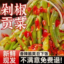 剁椒贡菜下饭菜湖南特产辣椒酱下饭菜瓶装即食开胃咸菜榨菜拌饭酱