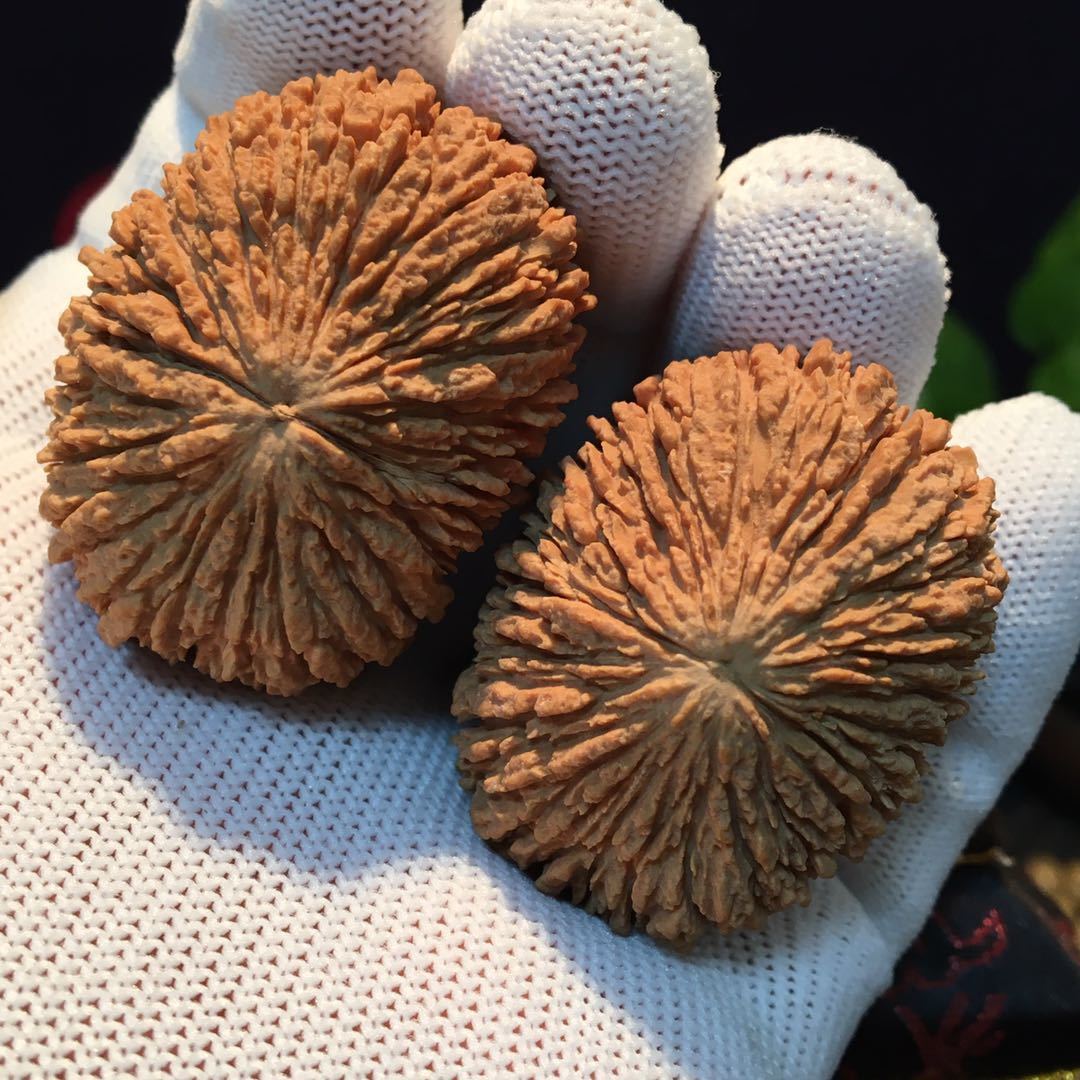 文玩超大猴头核桃手把件精品野生狮子头红皮骨质好秒沉水