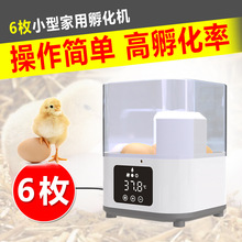 源头工厂6枚孵化机全自动家用型小鸡鸭鹅小型孵化器鸟蛋孵化箱