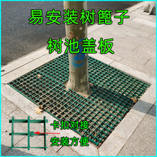 绿黄灰三色树篦子护树板塑料格栅绿化养护行道树盖板卡扣拼接安装