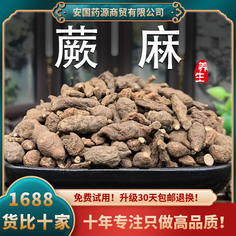 蕨麻500克厥麻撅麻西藏非野生特产人参果新鲜干货大粒果打蕨麻粉