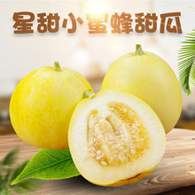 【严选】山东星甜小蜜蜂甜瓜 代发3/5斤新鲜头茬白甜瓜爆甜多汁