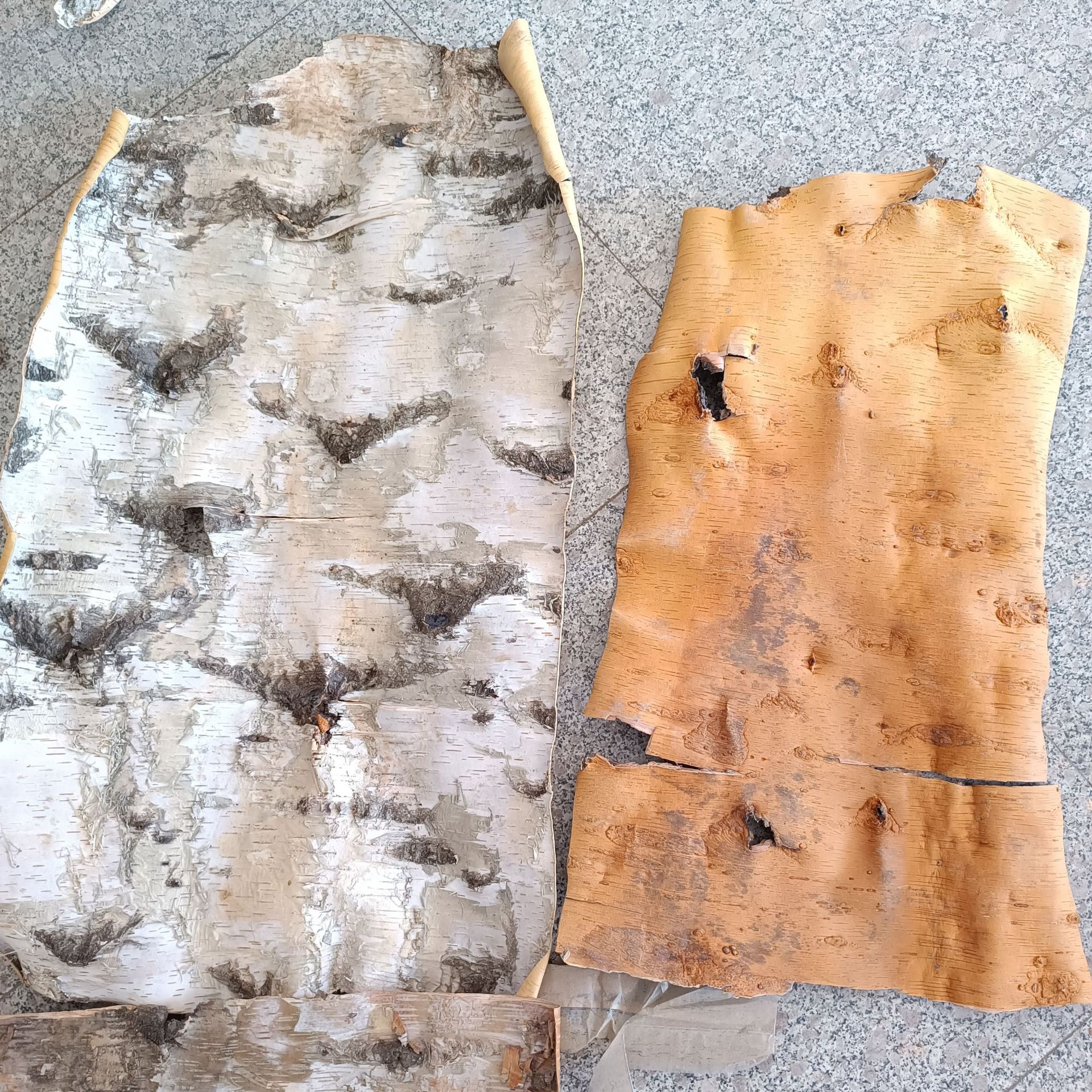 天然白桦树皮 桦树皮家居装饰树皮diy花材工艺原料装潢树皮装饰树