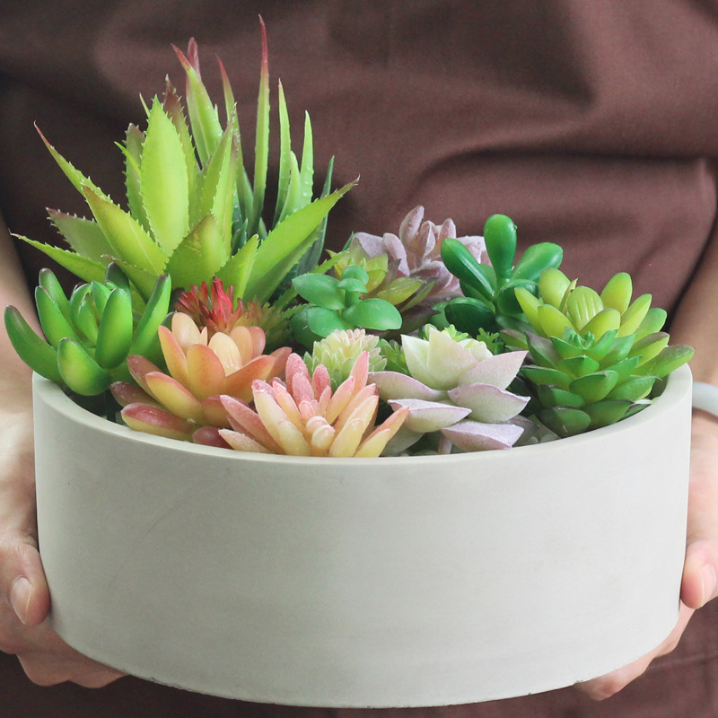 矮花盆陶瓷-矮花盆陶瓷厂家,品牌,图片,热帖-阿里巴巴