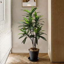 D它森空间巴西木仿真植物室内客厅落地盆栽装饰摆件北欧风仿生假