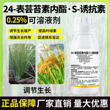 24表芸苔素云台S诱抗素水稻调节植物生长保花保果抗逆性调节剂