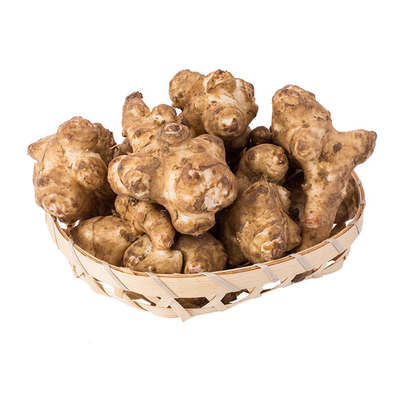 【实惠10斤】新鲜现挖野洋姜5斤腌制咸菜生鬼子姜菊芋姜不辣蔬菜