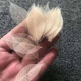 批发天然树叶 橡胶叶 真树叶脉络干花 植物花盒标本书签原色100片