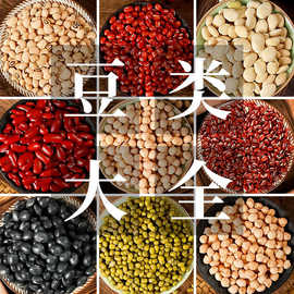 豆类大全黑芝麻 红豆 绿豆 黑豆 黄豆 赤小豆 薏米仁 五谷杂粮