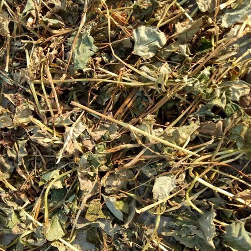 农家自晒鱼腥草干茎叶凉茶新鲜折耳根干叶茶250克,500克装