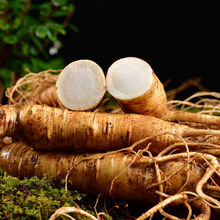 野山参长白山野生45年人参林下参东北一等参送礼高档礼盒装带证书