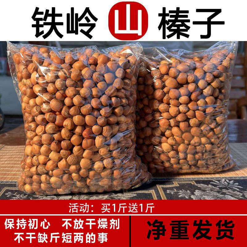 野队榛子东北特产山榛子水漏铁岭臻子平榛子原味炒熟买1斤送1斤