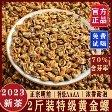 2024新茶臻味思古树滇红茶特级250g黄金螺金碧螺云南凤庆滇红茶叶