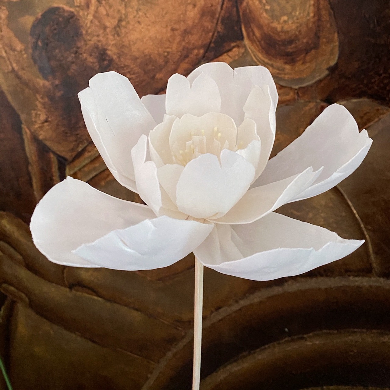 虞美人永生花通草花 汉服手持道具大朵手工花 家居摆设扩香