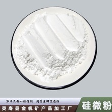 325目硅石粉 白色水洗硅石粉工业用硅微粉现货 电子电器用硅微粉