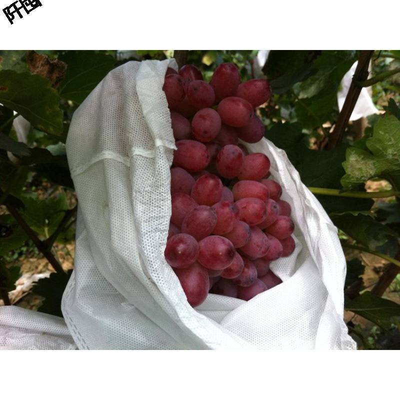 葡萄袋套专用布袋无纺布袋套果袋神器防鸟露天防水防虫吃育果袋子