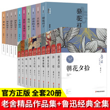 全20册 鲁迅全集 正版书朝花夕拾故乡阿Q正传全套 老舍经典作品全