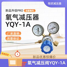 恒欣YQY1A氧气减压器全铜双级管道减压阀压力表仪器