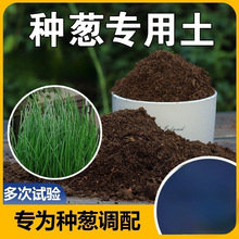 种葱专用土阳台种菜通用型蔬菜种菜种植土营养土盆栽香葱土壤家汗