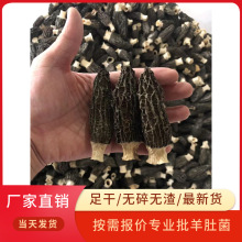 产地直供干羊肚菌散装250g羊肚云南特产