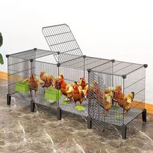 鸡笼子大养殖场鸡鸭笼子家用土鸡土鸭笼多层带厕所鸽子雏鸡笼跨境