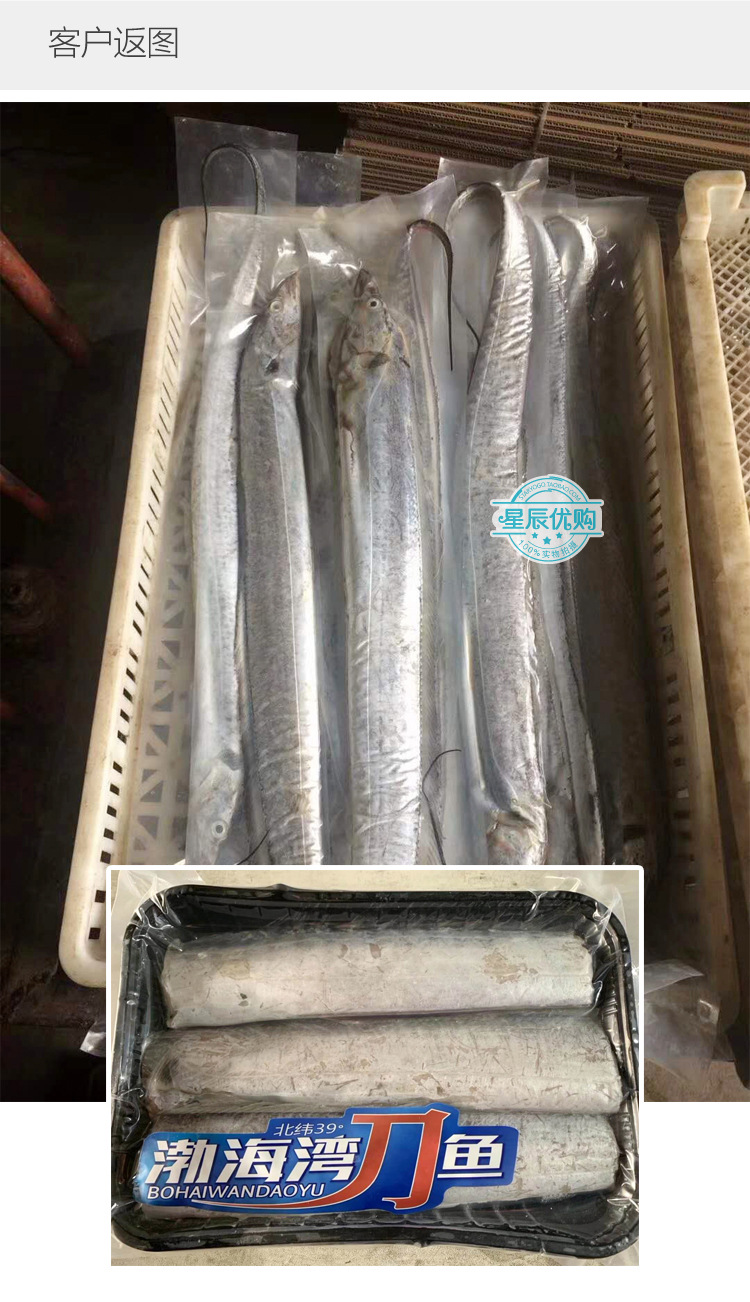【带鱼透明塑料抽真空袋子】单条鲅鱼冷冻整条渤海刀鱼海鲜白袋