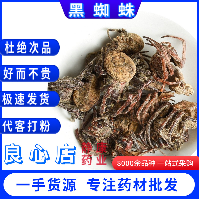 黑蜘蛛 中药材干货冷背材花蜘蛛