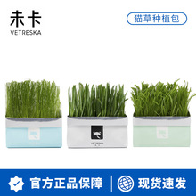 Vetreska未卡猫草 大麦狗尾巴黑麦燕麦种子猫咪用品猫零食