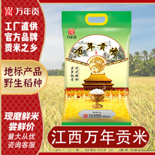 【原始稻种】万年贡米10斤优选丝苗米长粒香米地标产品新大米