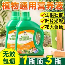 一件代发植物营养液绿植花卉花肥家用盆栽通用型浓缩营养液园艺肥