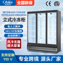 立式双门冷冻柜展示柜冰柜商用小型低温盒马生鲜风冷无霜保鲜柜