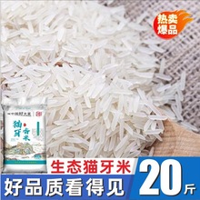 广西瑶族猫牙米晚稻长粒新米煲仔饭象牙香米稻花香茉莉香米批发价