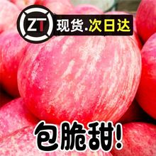 【爆脆甜】正宗红富士山东脆甜苹果特级大果新鲜现摘水果当季整箱