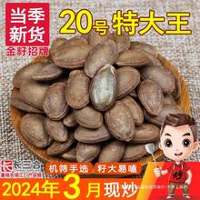 吊篓杜瓜炒货瓜蒌籽新货奶油20特大颗粒500g瓜子小包装号麦天柱山